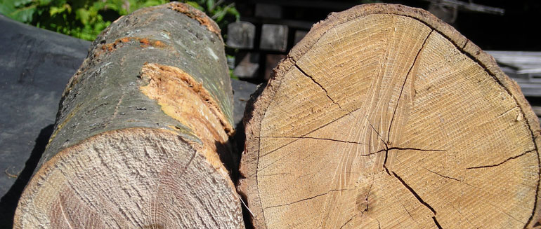 Why You Should Choose Quality and Legal Woods?